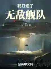 我打造了无敌舰队