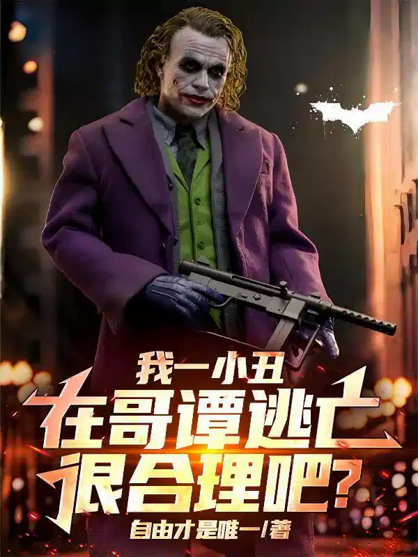 我一小丑，在哥谭逃亡很合理吧？